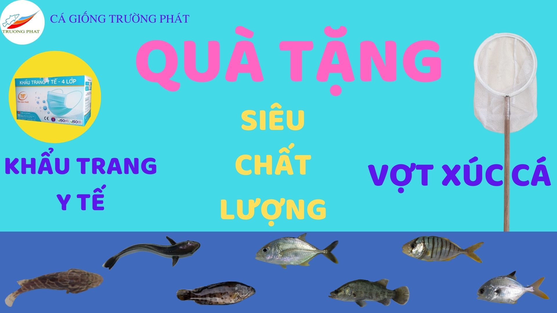 Tặng khẩu trang y tế kèm theo cây vợt xúc cá