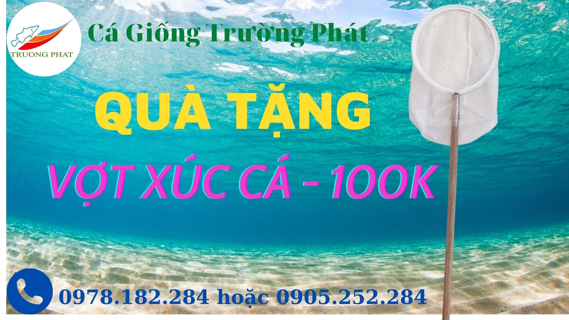 Tặng vợt cá