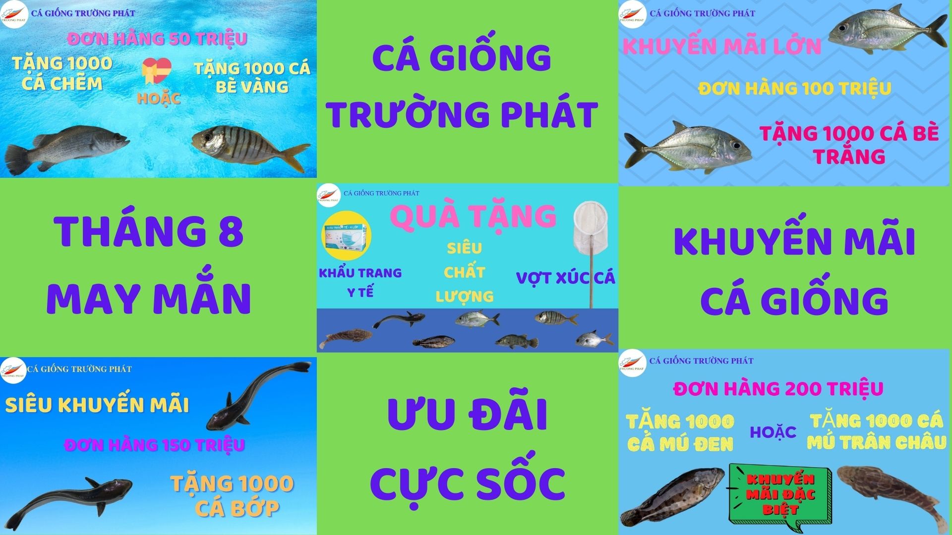 khuyến mãi cá giống