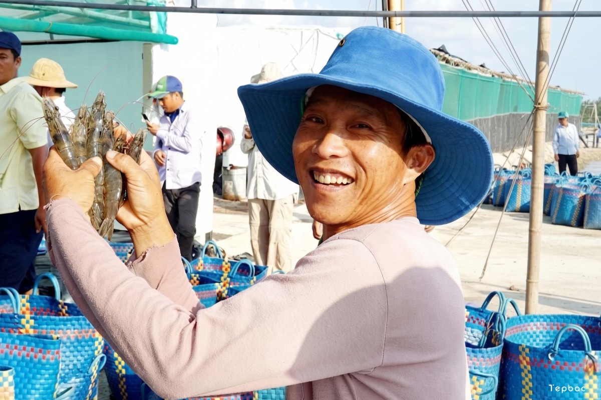 Dự báo sớm ngành tôm 2027: Cuộc đại dịch chuyển cấu trúc trước khí hậu cực đoan