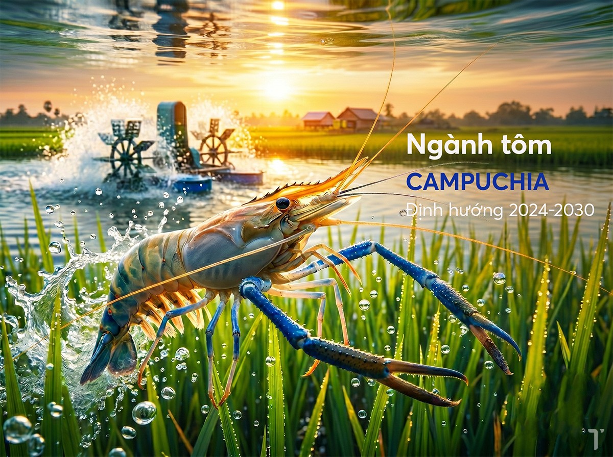 Ngành tôm Campuchia (2024 - 2030): Thực trạng sản xuất, chi phí và định hướng phát triển