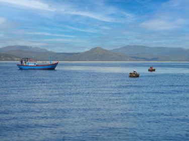 Gia Lai cấp hơn 212 tỷ đồng hỗ trợ chuyển đổi nghề, giải bản tàu cá không đủ điều kiện hoạt động