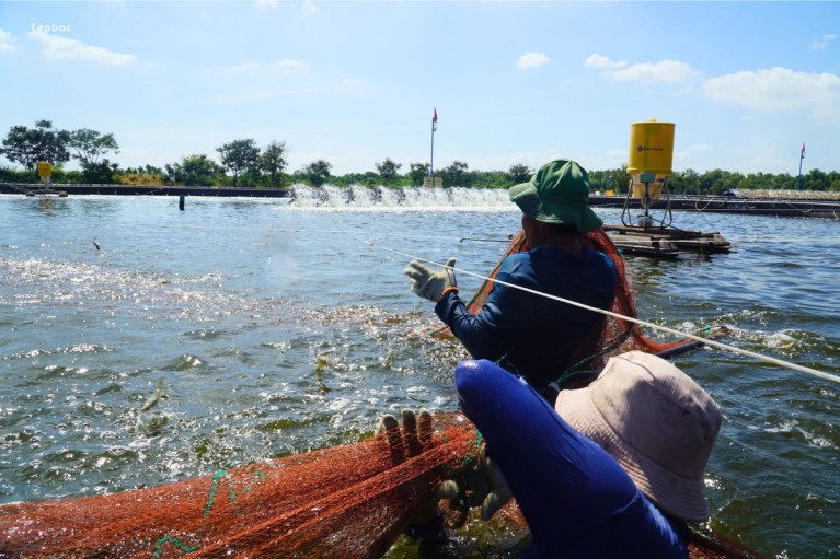 Ngành thủy sản và động lực tăng trưởng mới sau 67 năm