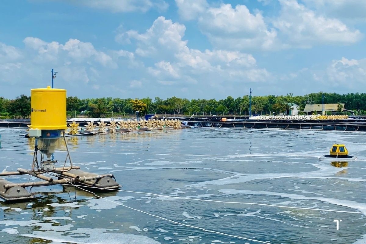 Công nghệ Camera dưới nước