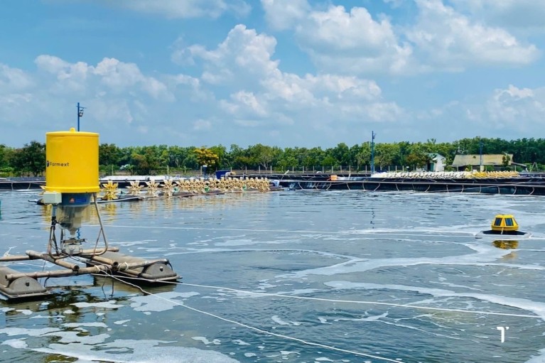 Công nghệ Camera dưới nước