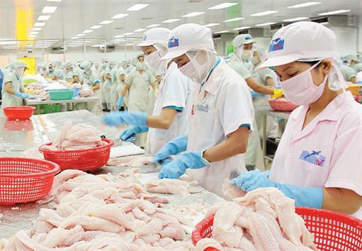 Trợ lực cho ngành hàng cá tra