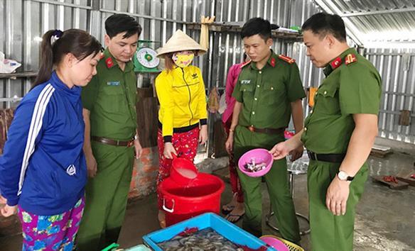 Nạn tôm giống không kiểm dịch, tôm tạp chất và thuốc giả