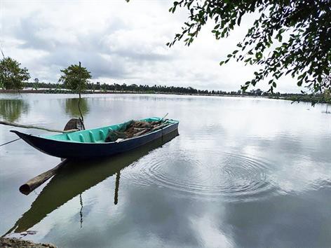 Cùng say đắm với ảnh đẹp thủy sản tuần qua!