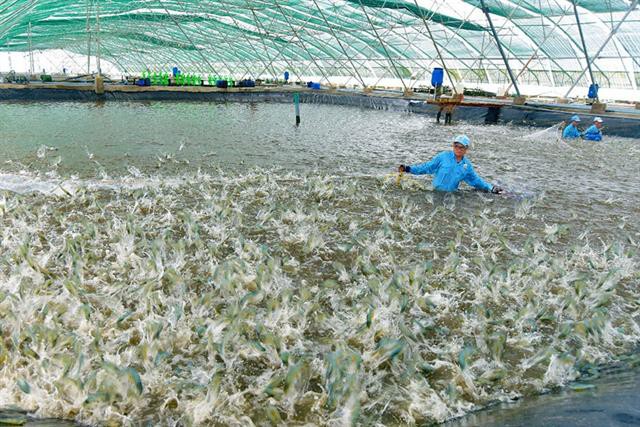 Sức đề kháng mạnh mẽ của ngành thủy sản