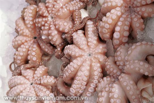 Tháo gỡ khó khăn xuất khẩu nông, lâm, thủy sản sang Hàn Quốc