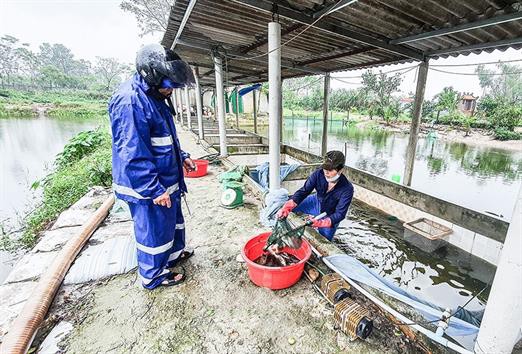 Quảng Trị đứng trước nguy cơ thiếu giống thủy sản