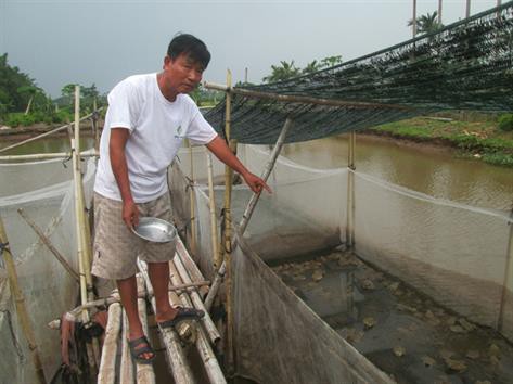 Bí quyết nuôi thủy sản có lãi thời giá cả xuống thấp