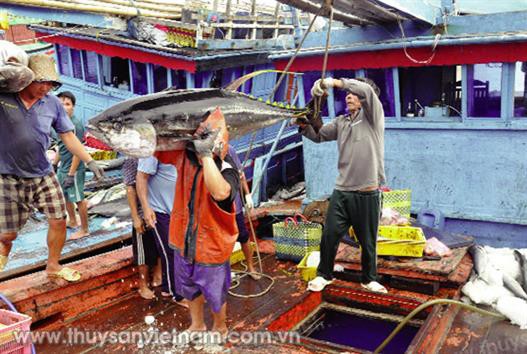 Bình Định: Hiệu quả liên kết trên biển