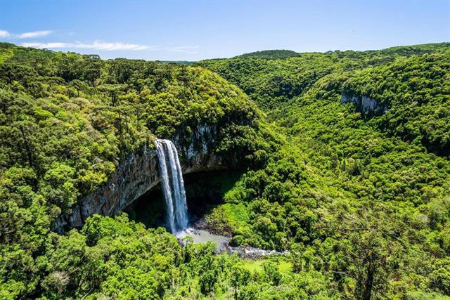 Ở Brazil, người ta nuôi thủy sản thế nào?