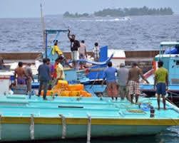  EU sẽ miễn thuế cho Maldives tới 2014