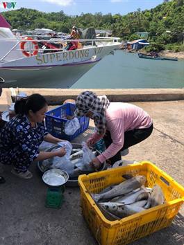 Lào Cai: Hơn 4 tấn cá chết do nắng nóng