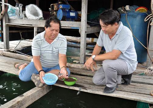 Bí quyết làm giàu: Thu lãi hàng trăm triệu từ nuôi cá lồng bè