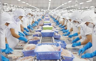Cá ngừ và mực, bạch tuộc ”kéo” kim ngạch tăng trưởng dương