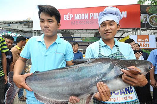Cá tra nuôi "khổng lồ" có giá lên đến 350.000 đồng/kg