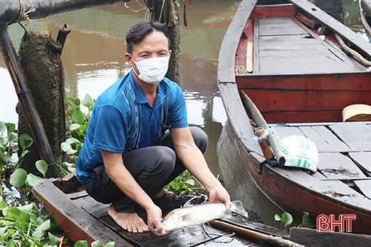 Người nuôi cá vược ở Thạch Sơn nóng lòng tìm đầu ra