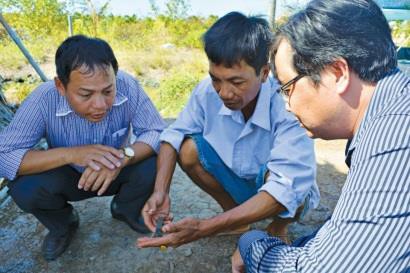 Cần quy hoạch nuôi tôm siêu thâm canh