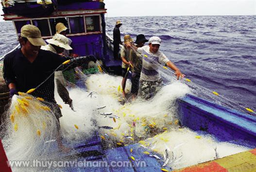 Luật Thủy sản (sửa đổi): Cần tháo bỏ những bất cập