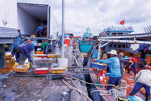 Tuân thủ luật để khai thác hiệu quả, bền vững