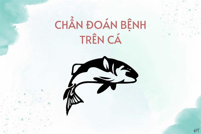 Quan sát bệnh trên cá tôm và chẩn đoán ban đầu