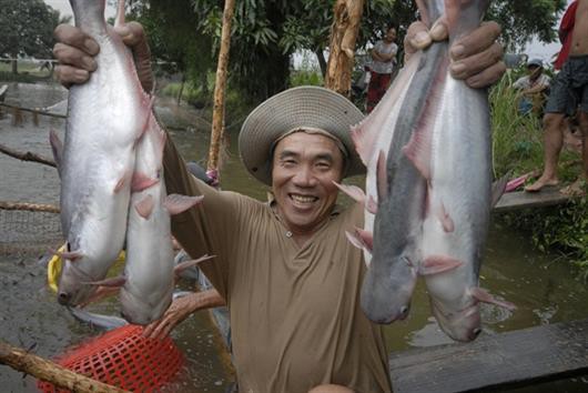Chăn nuôi, thủy sản tiếp tục chớp thời cơ