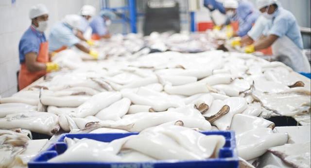 Peru: Tạm dừng xuất khẩu thủy sản sang Trung Quốc do đóng cửa cảng biển