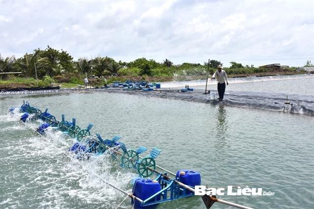 Nhiều cơ sở kinh doanh vi phạm