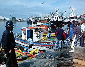 Chile: Khai thác thủy sản giảm