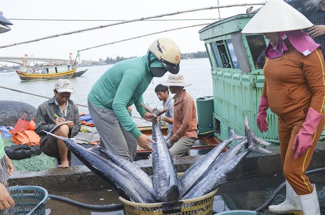 Ấm lòng mùa đánh bắt của ngư dân Quảng Trị