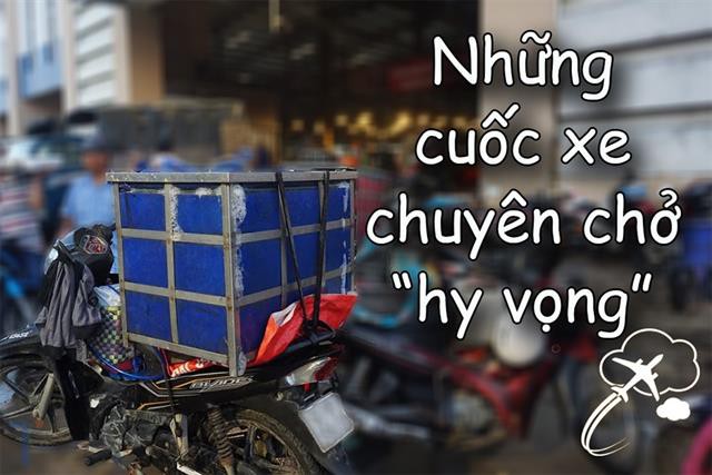 Chở tôm mướn - Những cuốc xe chuyên chở “hy vọng”