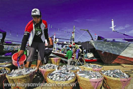 Chuyển biến tích cực trong khai thác thủy sản