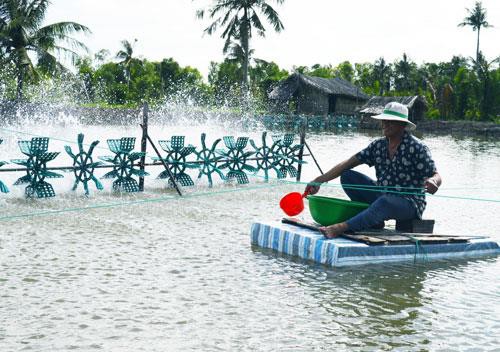 Con tôm “rũ bùn” đạt chuẩn quốc tế