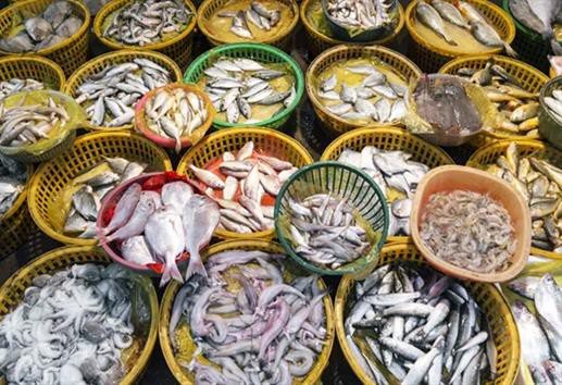 Công cụ mới về đánh giá thủy sản bền vững
