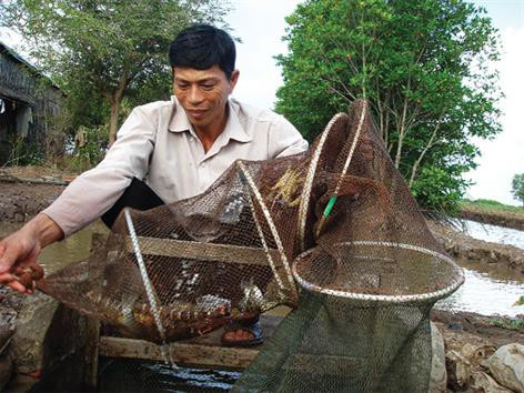 Thủy sản hữu cơ: Xu hướng của thế kỷ 21