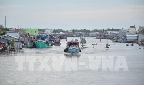 Đánh bắt hải sản của Bạc Liêu thu lãi cao