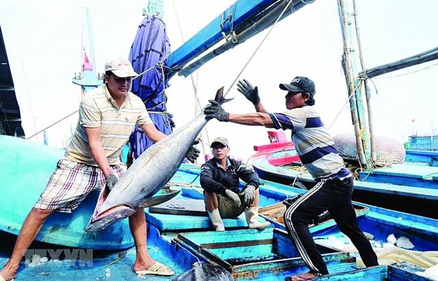 Mong manh gỡ "thẻ vàng" IUU