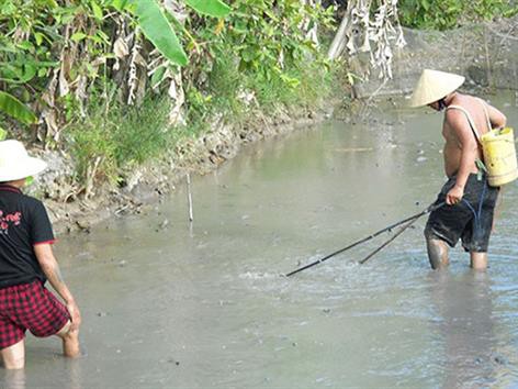 Vĩnh Long nâng cao nhận thức bảo tồn đa dạng sinh học trong cộng đồng