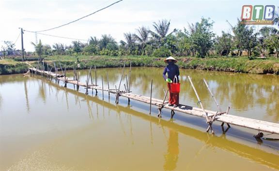 Làm giàu tiền tỷ trên vùng đất hoang hóa