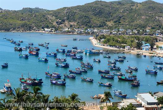 Quảng Trị: Gần 4,5 tỷ đồng hỗ trợ phát triển thủy sản 2019