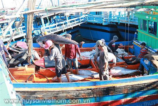 Tháo gỡ vướng mắc trong khai thác thủy sản