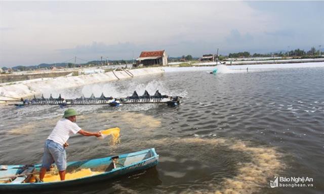 Đưa thủy sản thành ngành sản xuất hàng hóa