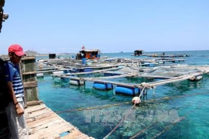 Giải pháp nào để xây dựng ngành thủy sản Việt Nam phát triển bền vững?