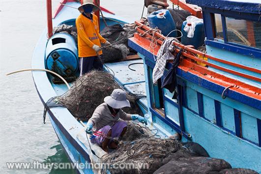 Tăng cường giám sát tàu cá vi phạm vùng biển nước ngoài