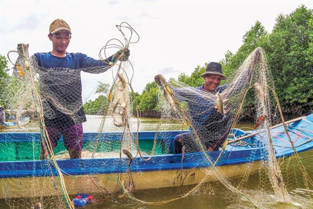 Giăng lưới cá úc