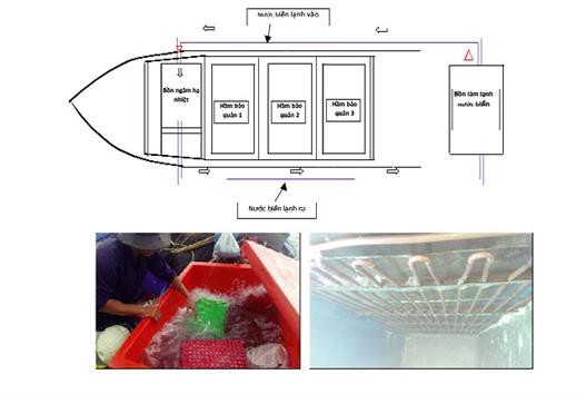 Hệ thống lạnh hỗn hợp trên tàu lưới kéo xa bờ tại Bình Thuận