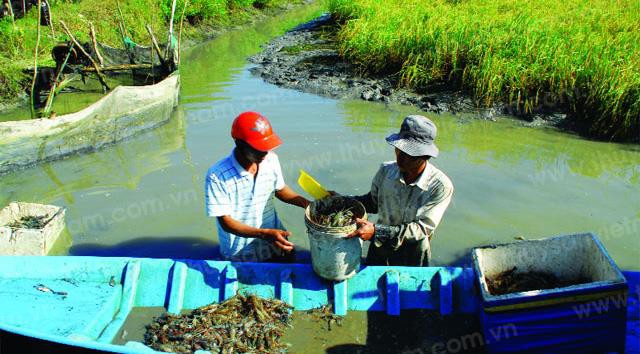 HỘI THẢO XÚC TIẾN ĐẦU TƯ VÀO LĨNH VỰC THỦY HẢI SẢN MIỀN NAM